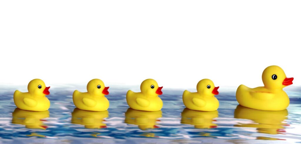 Jonathan Andrews gas and heating picture of 5 plastic ducks